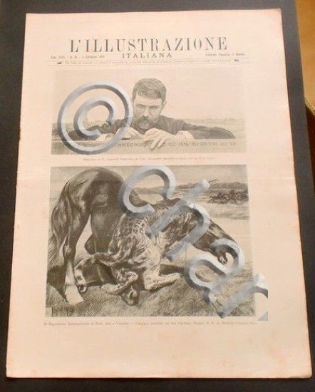 L'illustrazione Italiana - Cavallo assalito da pantera - N° 36 …