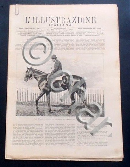 L'illustrazione Italiana - Fitz-Hampton, vincitore corse - N° 22 - …