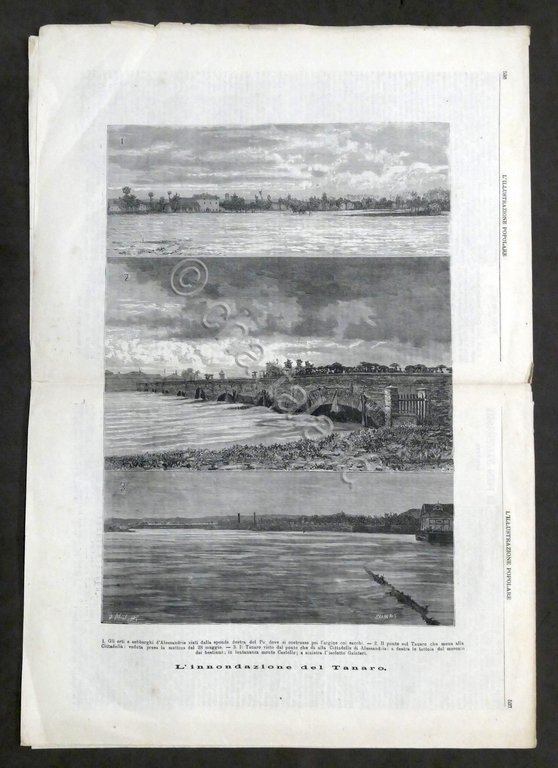 L'Illustrazione Popolare - N. 34 - 1879 Inondazione fiume Tanaro …