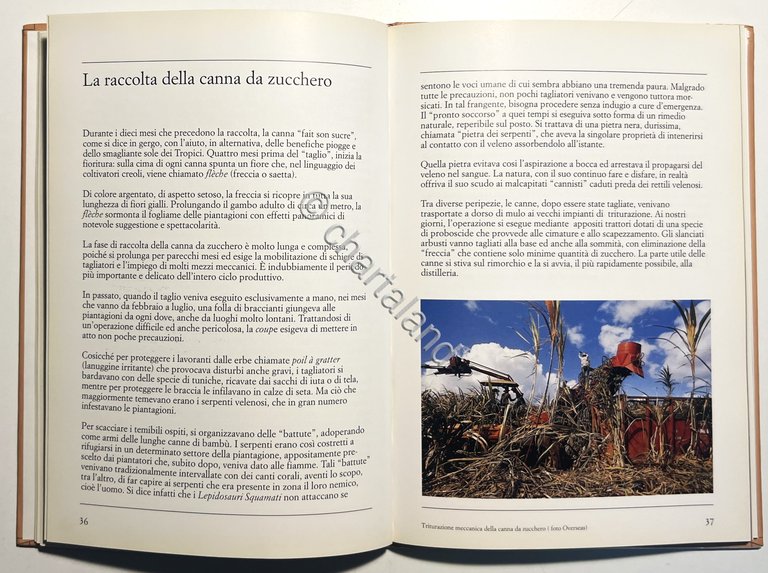 L. Imbriani - Il Rum: dove, come, quando - ed. …