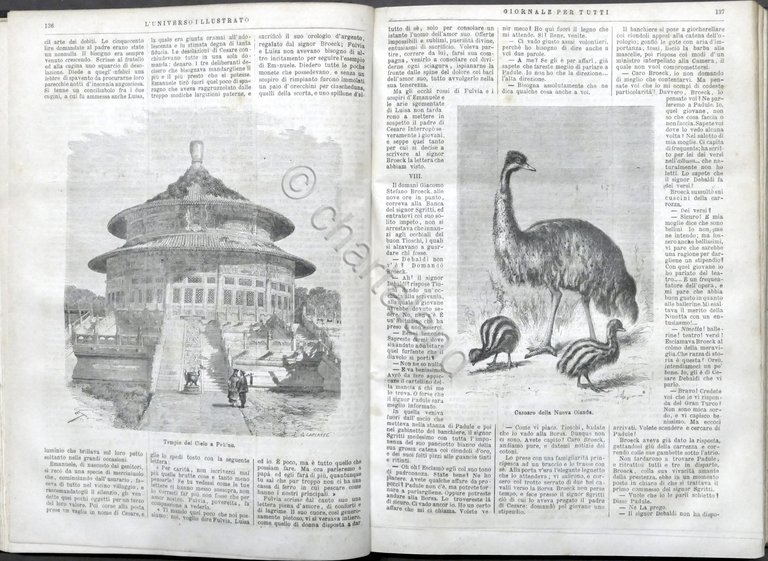 L'Universo Illustrato - Giornale per tutti - Annata 1871 / … | Immagine Gallery 6