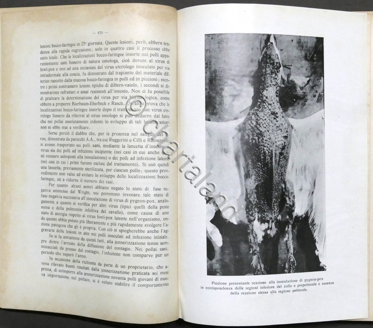 La Clinica Veterinaria - Rassegna di Polizia Sanitaria e di …