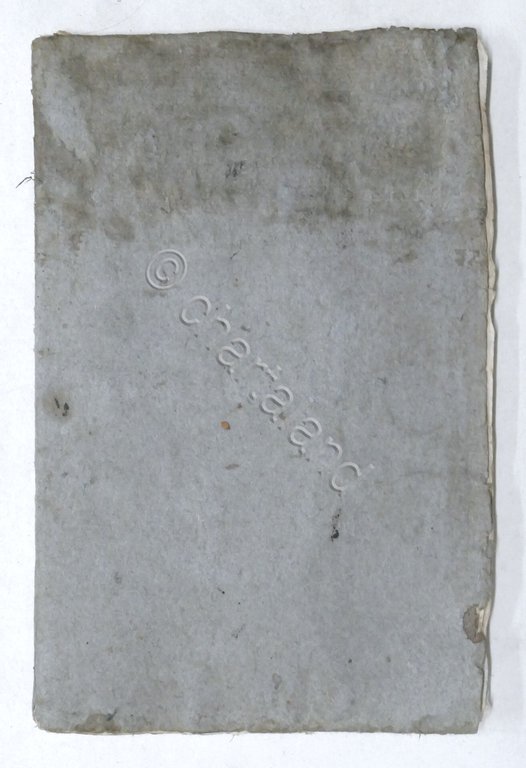 La Corte del Papa - Tutto ciò che concerne la …