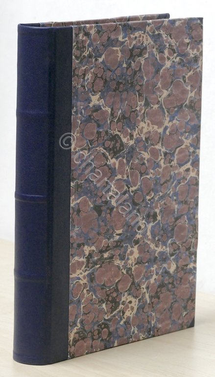 La plebe - Romanzo sociale di Vittorio Bersezio - 1867 …