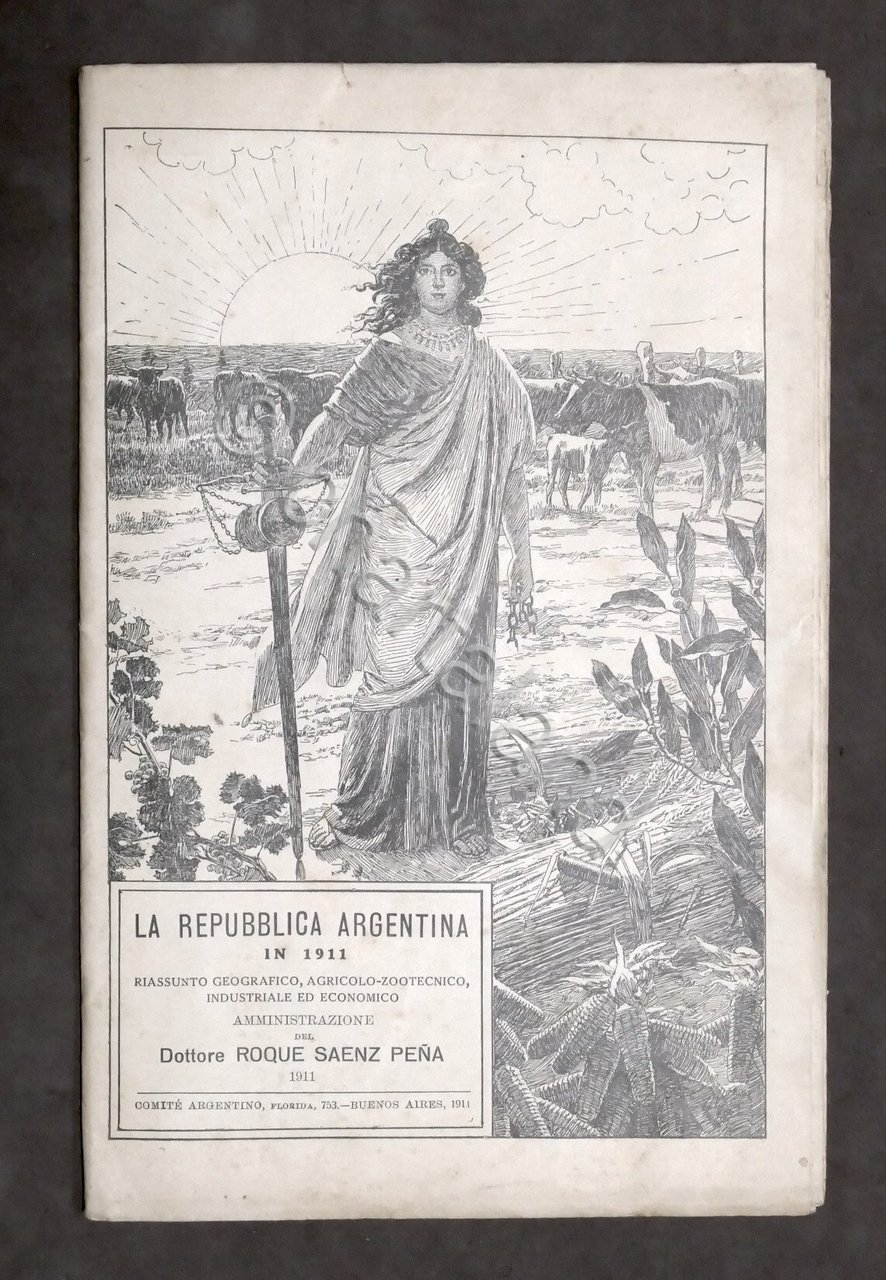 La Repubblica Argentina in 1911 - Informazioni e Carta Geografica