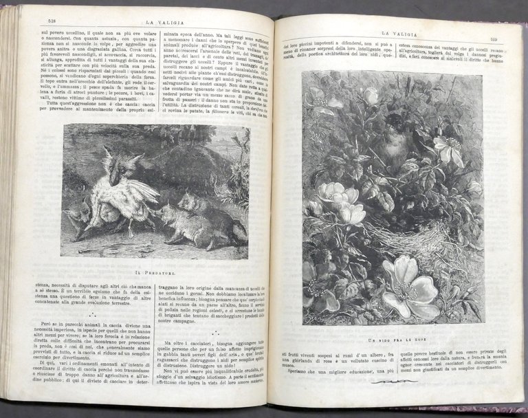 La Valigia - Foglio illustrato settimanale - Viaggi Racconti - …