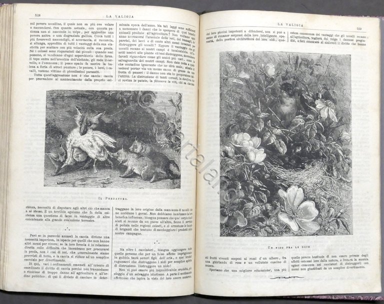 La Valigia - Foglio illustrato settimanale - Viaggi Racconti - …