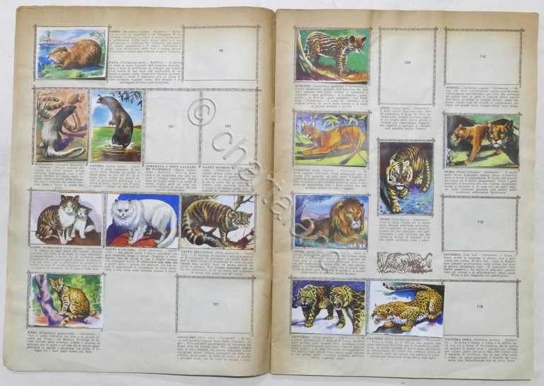 Lampo - Album nuova raccolta figurine Animali - Da recupero …
