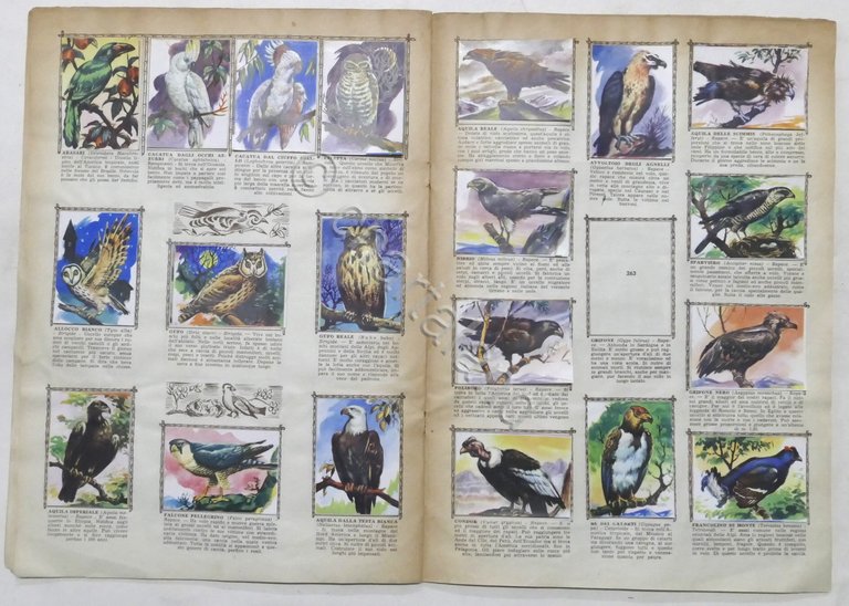 Lampo - Album nuova raccolta figurine Animali - Da recupero …
