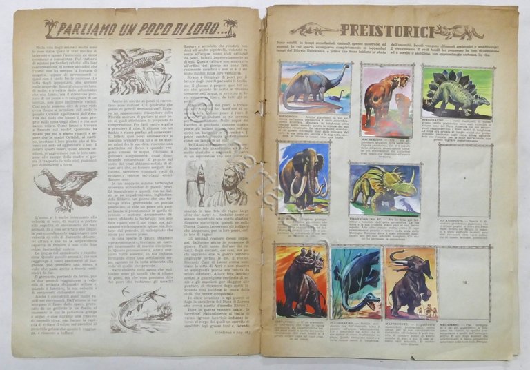 Lampo - Album nuova raccolta figurine Animali - Da recupero …