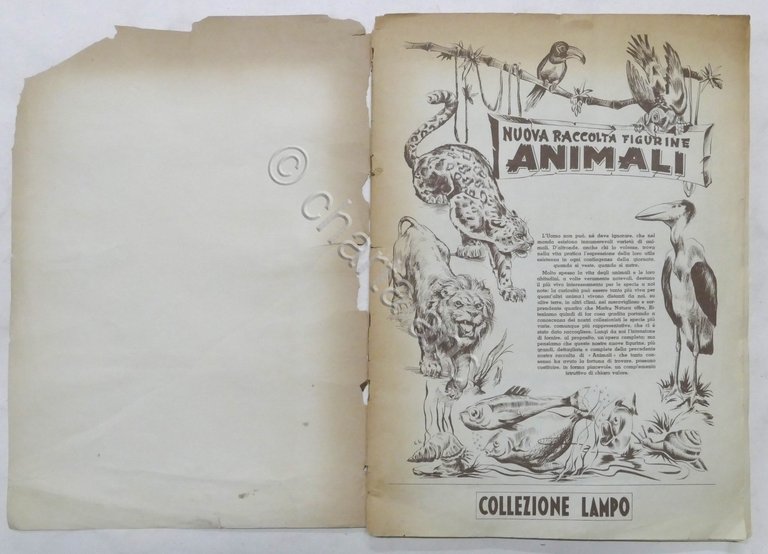 Lampo - Album nuova raccolta figurine Animali - Da recupero …