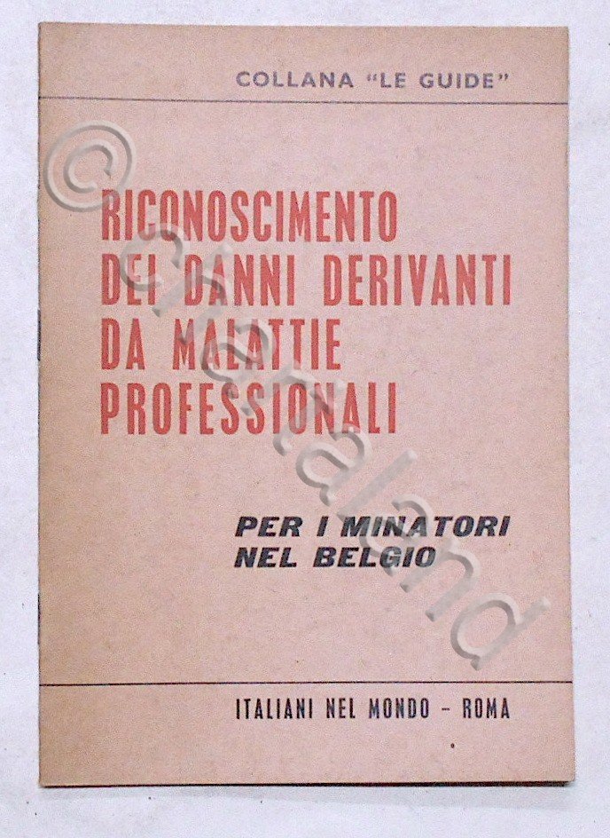 Le Guide Italiani nel Mondo: Riconoscimento danni per minatori nel … | Immagine principale