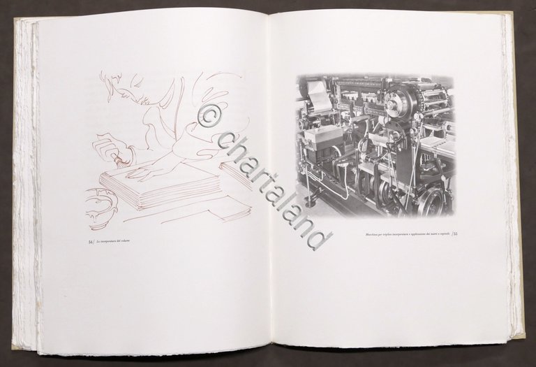 Legato con amore - Cinquantenario Legatoria Torriani - Milano - …