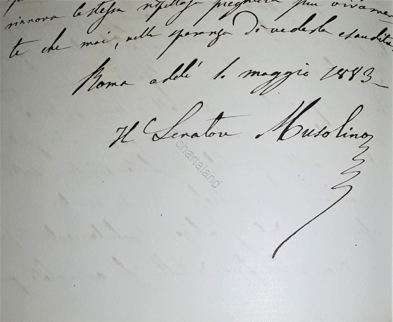 Lettera manoscritta con autografo - Senatore Musolino Benedetto - 1883 | Immagine Gallery 2