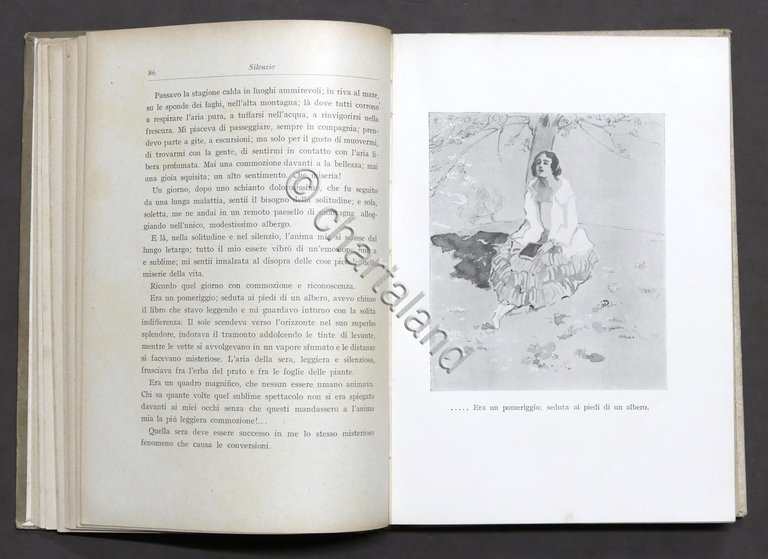 Libri ragazzi - A.Vertua Gentile - La potenza della bontà …