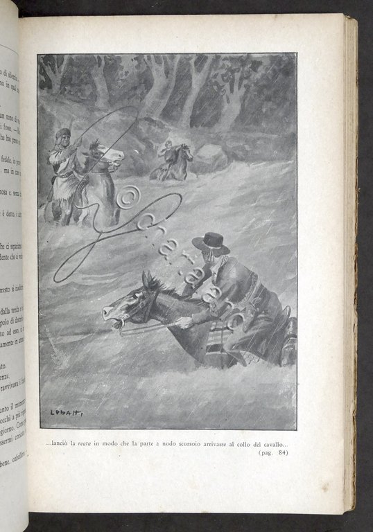 Libri ragazzi - Collana avventurosa Carroccio - I cacciatori del …