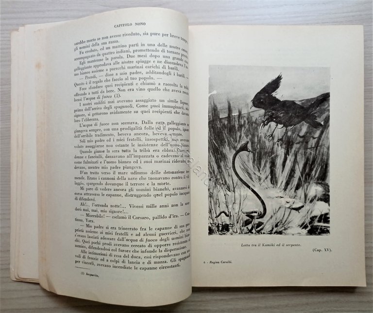 Libri Ragazzi - E. Salgari - La Regina dei Caraibi …