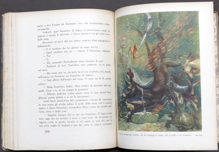 Libri ragazzi - Le avventure di Pinocchio - ed. SEI …
