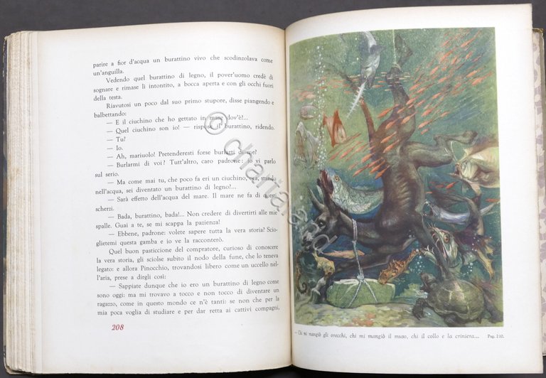 Libri ragazzi - Le avventure di Pinocchio - ed. SEI …