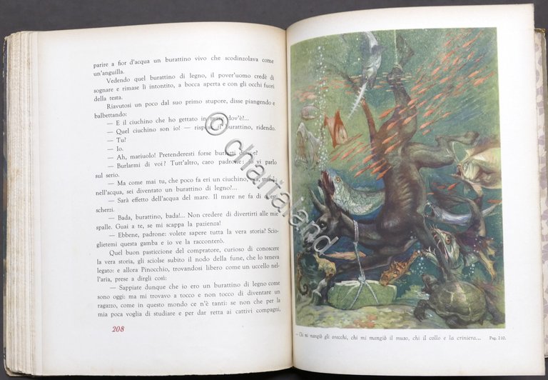 Libri ragazzi - Le avventure di Pinocchio - ed. SEI …