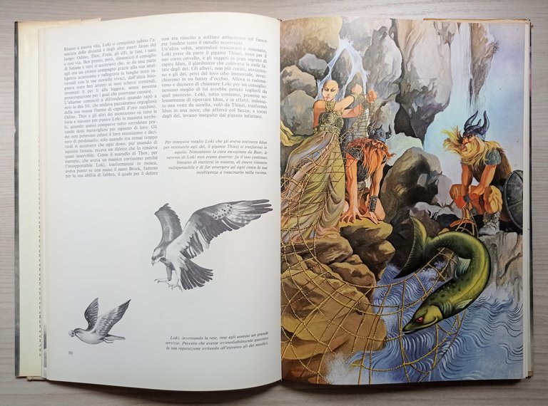 Libri Ragazzi - P. Brengola e V. Calvani - I …