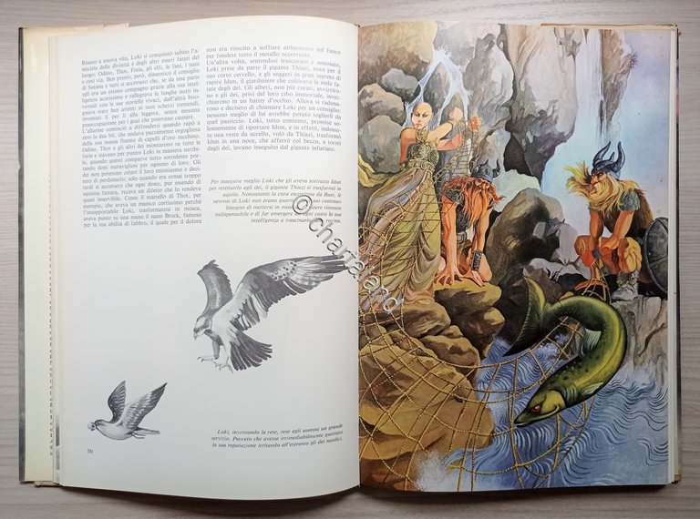 Libri Ragazzi - P. Brengola e V. Calvani - I …