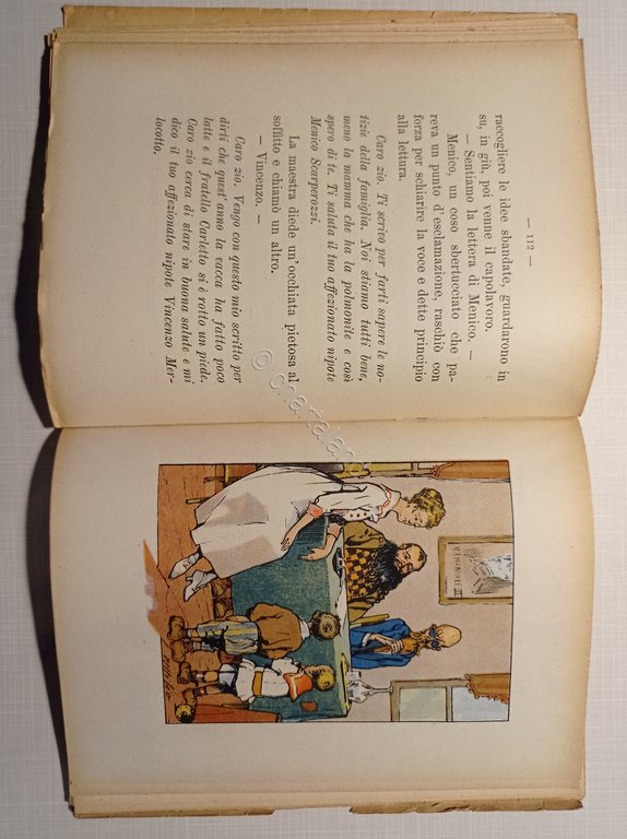 Libri Ragazzi - R. Paltrinieri Breda - Pallino - ed. …