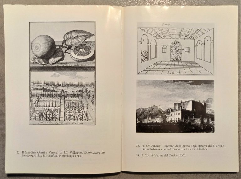 Libro e incisione a Venezia e nel Veneto nei Secoli …