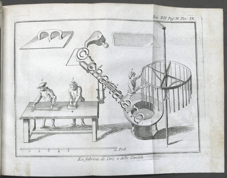 Lo spettacolo della natura - Trattenimenti storia naturale - Tomo …