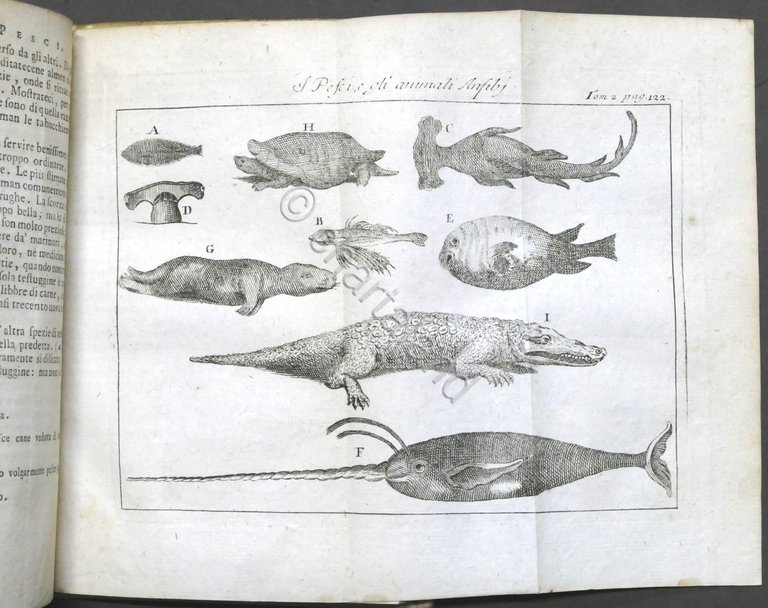 Lo spettacolo della natura esposto in varj dialoghi - Tomo …