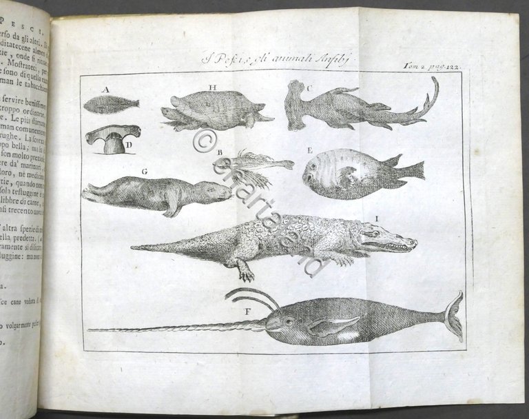 Lo spettacolo della natura esposto in varj dialoghi - Tomo …