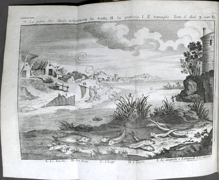 Lo spettacolo della natura esposto in varj dialoghi - Tomo …