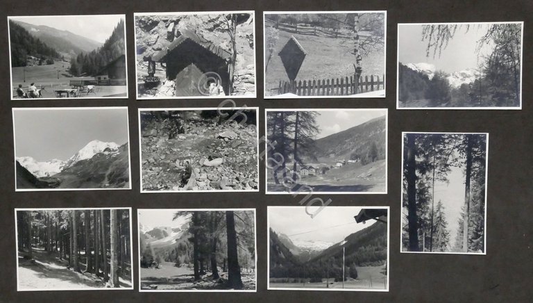 Lotto 11 fotografie Val di Solda (Bolzano) - Giugno 1957