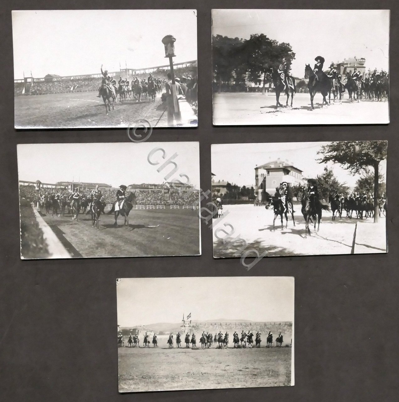 Lotto 5 fotocartoline Carosello Cavalleria Esercito Italiano - Torino 1930 …