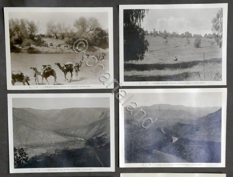 Lotto 9 fotografie Colonialismo Italiano - Territori Fiume Uebi Scebeli …