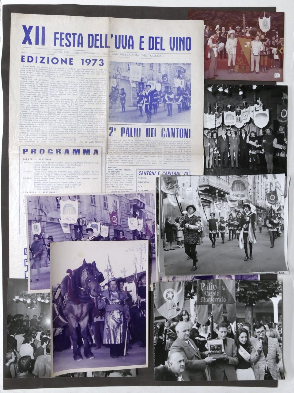 Lotto giornale XII Festa uva e vino - 14 foto …