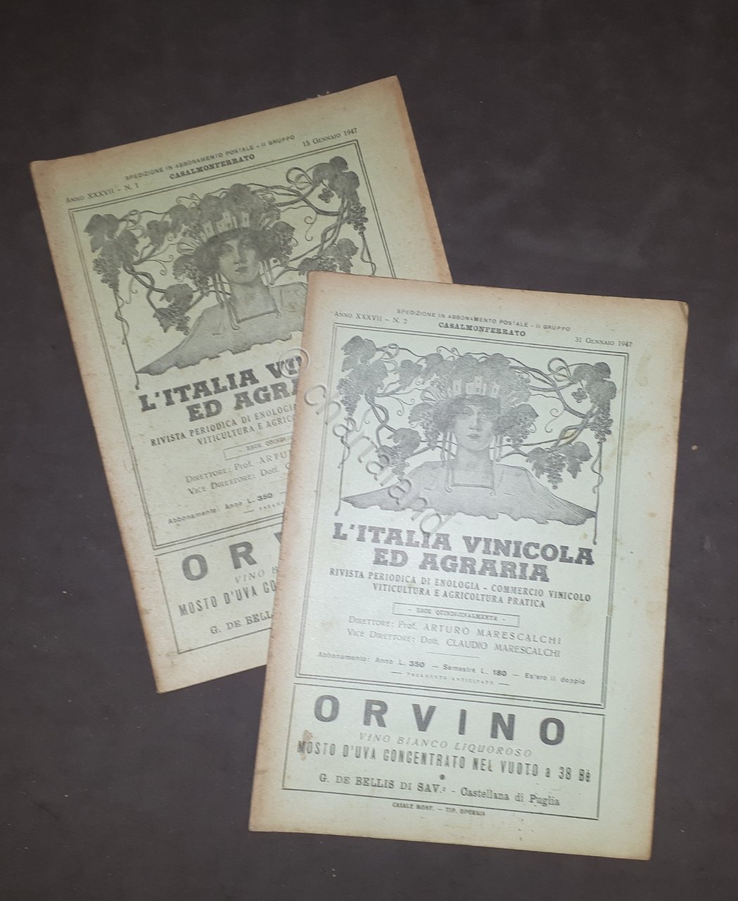 Lotto Rivista - L'Italia vinicola ed agraria - n. 2 …