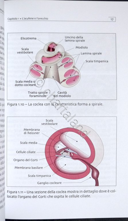 Luca Del Bo - Acufeni: cause, diagnosi, terapie - ed. …