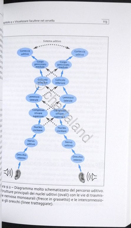 Luca Del Bo - Acufeni: cause, diagnosi, terapie - ed. …