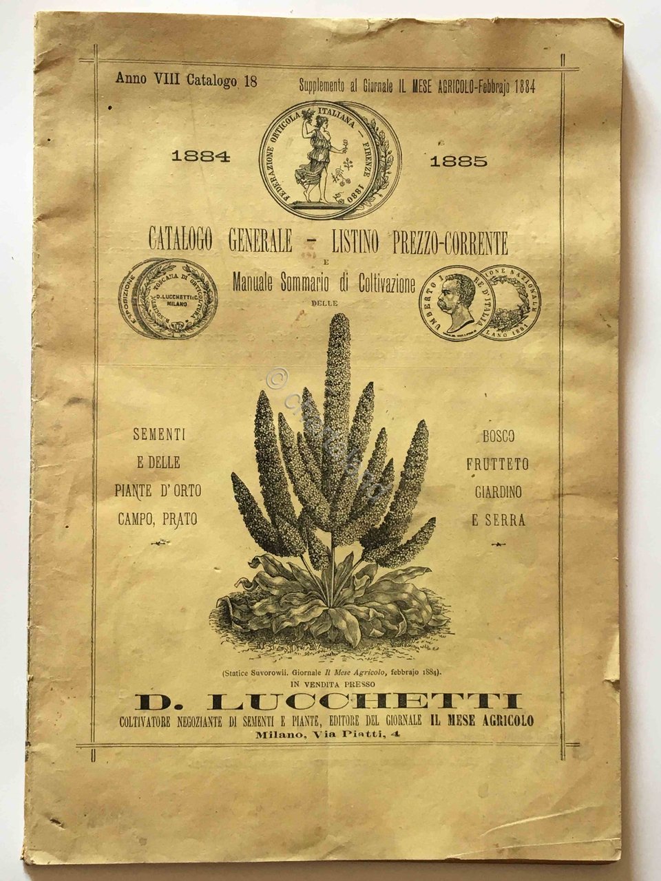 Lucchetti - Catalogo Generale N. 18 - Manuale sommario di …