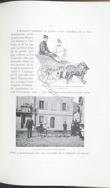 Luigi Belloni - La carrozza nella storia della locomozione - … | Immagine Gallery 6