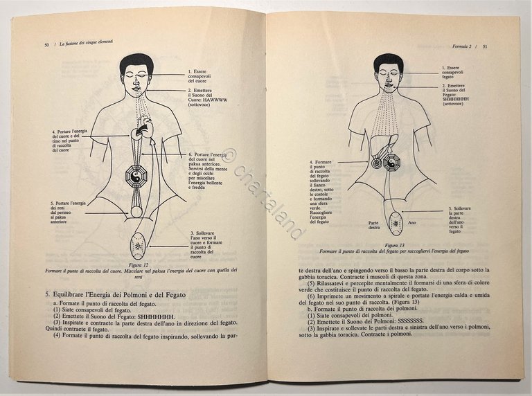 M. Chia e M. Chia - Tao Yoga: Fusione dei …