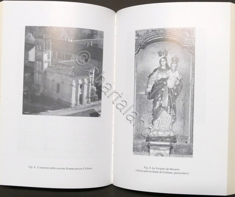 M. Comincini - Il territorio tra Milano e il Ticino … | Immagine Gallery 2