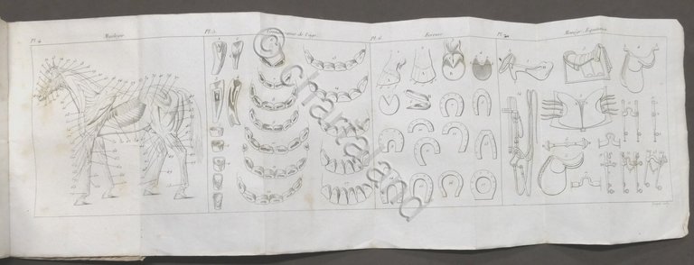 M. Lebeaud - Manuel Complet du Veterinaire - ed. 1833