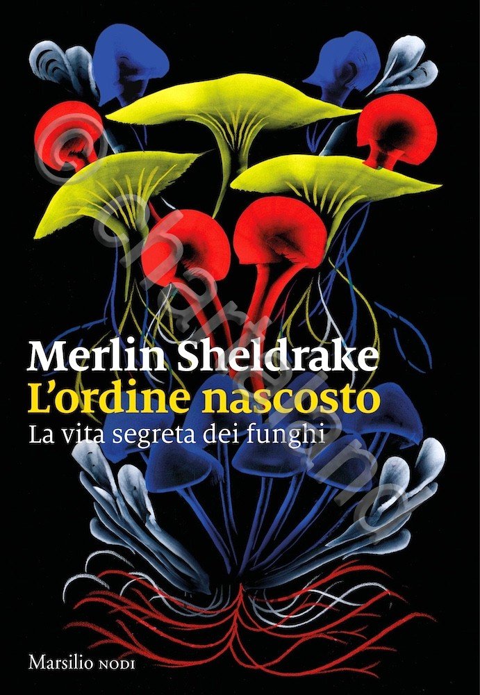 M. Sheldrake - L'ordine di nascosto la vita segreta dei …
