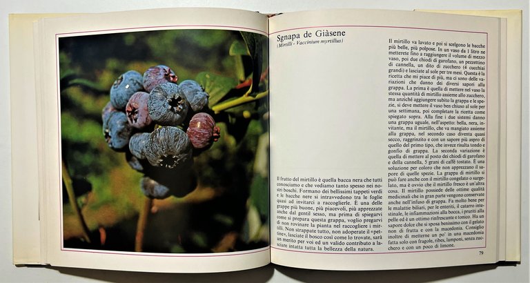M. Simonetti - La mia Grappa: grappe con le erbe, …