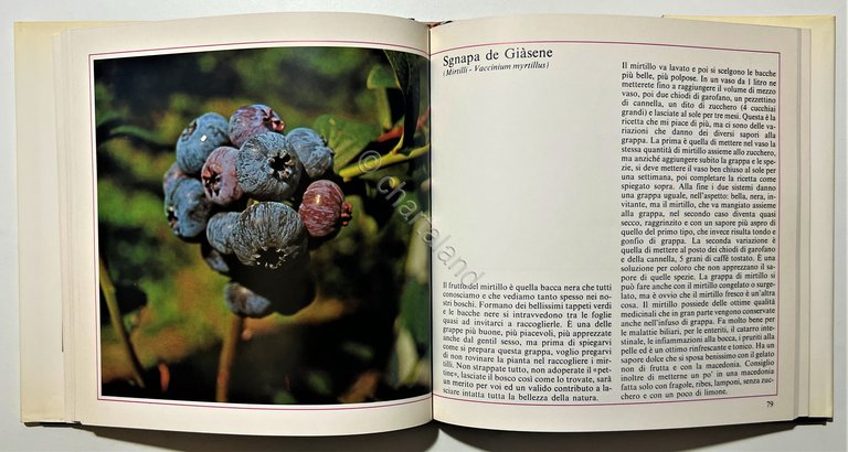 M. Simonetti - La mia Grappa: grappe con le erbe, …
