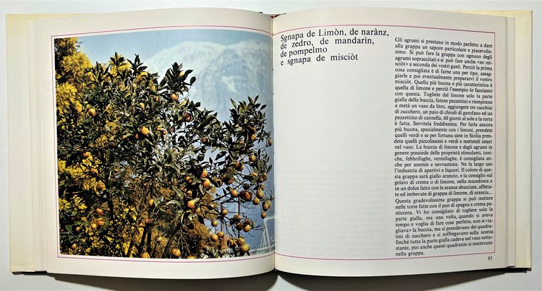 M. Simonetti - La mia Grappa: grappe con le erbe, …