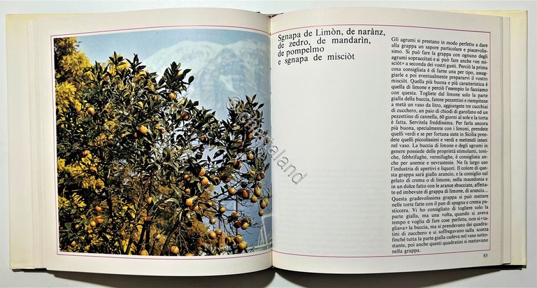 M. Simonetti - La mia Grappa: grappe con le erbe, …