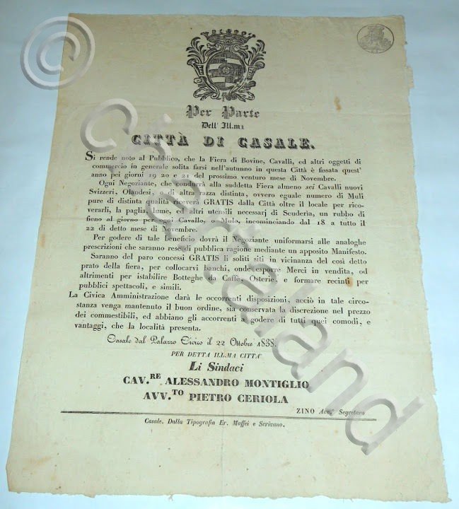 Manifesto Casale Monferrato Fiera Bovini Ricompense x Cavalli di Razza …